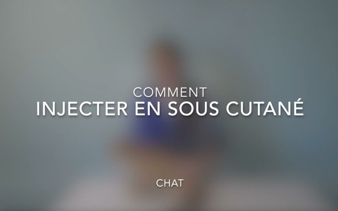 Comment injecter en sous cutané (chat)