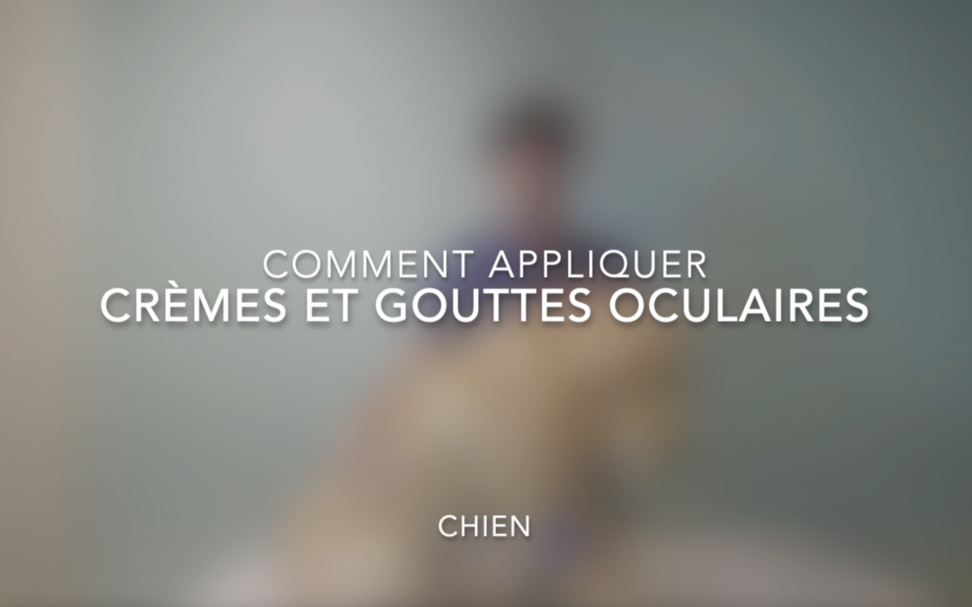 comment appliquer creme gouttes oculaires