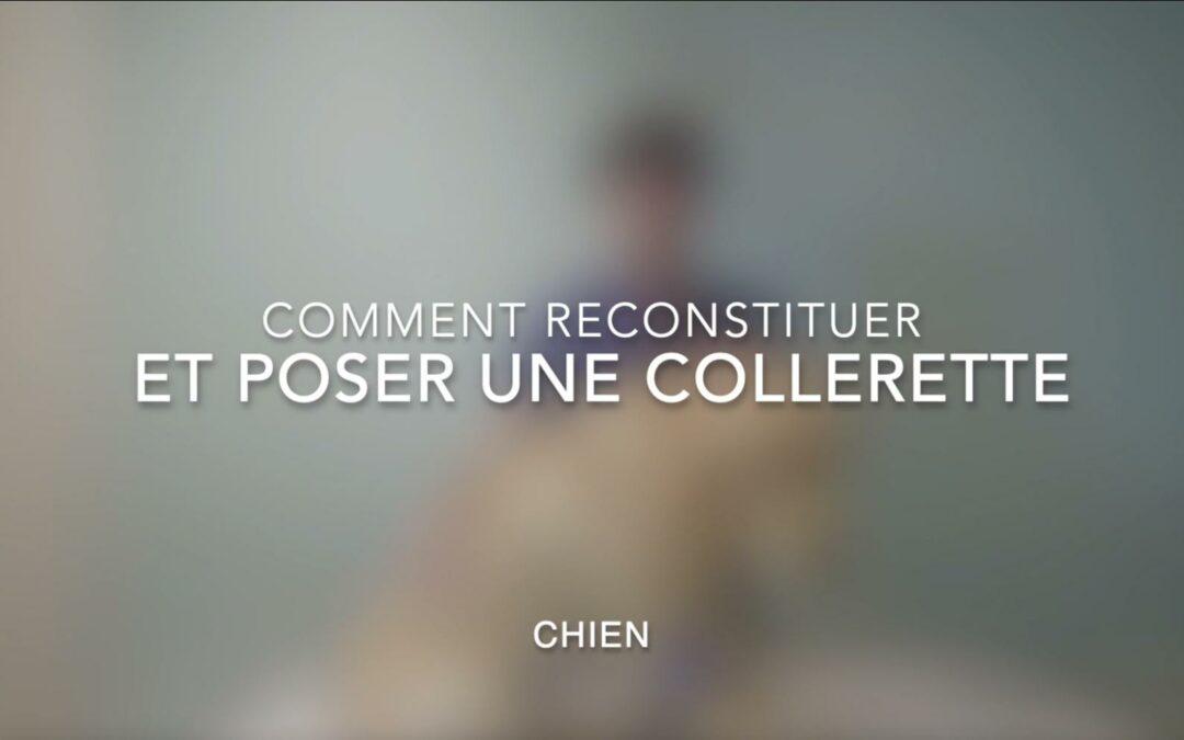 comment reconstituer et poser collerette