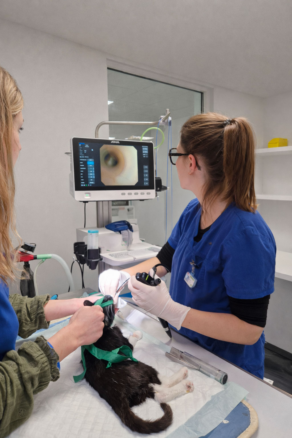 Endoscopie respiratoire