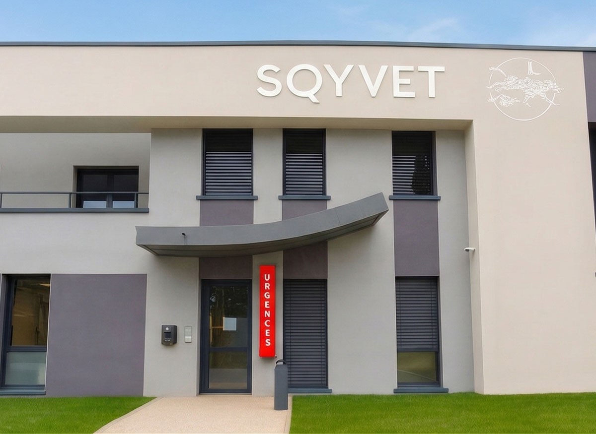 clinique sqyvet urgences
